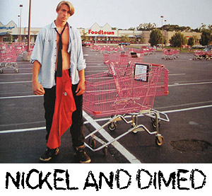 Nickel and Dimed