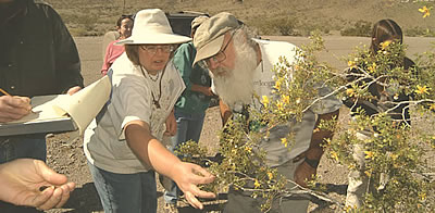 Studying at the Desert Studies Center