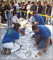 Egg Drop Competition