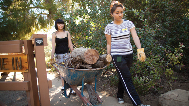 two women haul cut lumber away in a wheelbarrel.