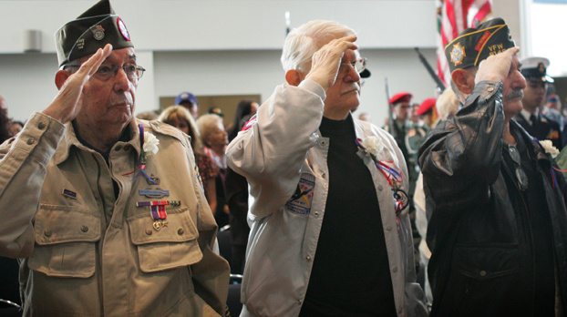 veterans salute