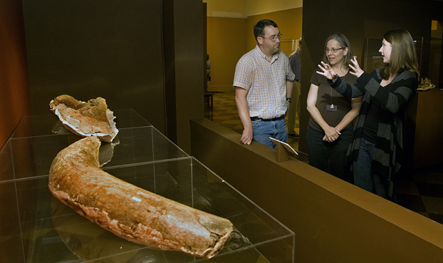 David Bowman, Aimee Aul and Meredith Rivin discuss a mammoth tusk on display