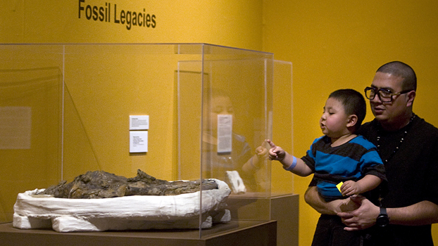 Father and Son view the partial skull and jaw of a Western horse.