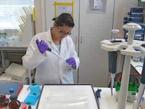 Jasleen Sidhu wears white coat and purple laytex gloves while holding a pipette in a lab.