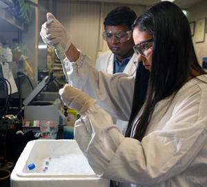 Vinod Valluri watches Jessica Valadez as she uses a pipette in the lab. Both are wearing white lab coats, gloves and safety goggles.