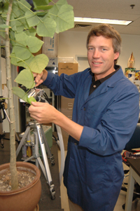 Darren Sandquist measures the thickness of a plant's leaf.