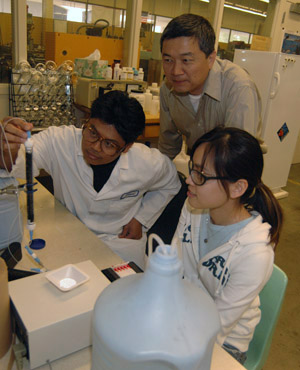two students and a faculty member look at a water sample in the engineering lab.