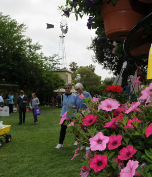 Two older women walk past a stand selling hanging baskets.