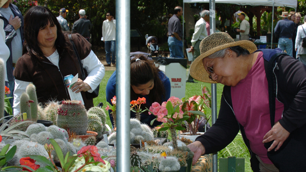 Three women shop for cactus at the Green Scene.