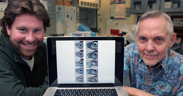 Two men sitting on either side of a computer screen showing the heads of California grunion