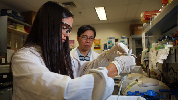 Hispanic woman conducts research under the supervision of her instructor.