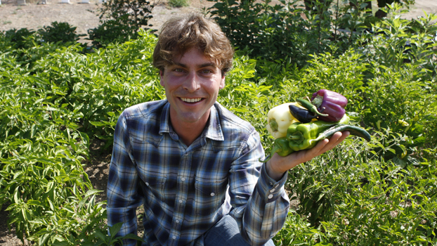 Young man kneels among pepper plants and holds samples in one hand.