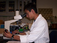 Rolando Ruiz looking into a microscope in a laboratory