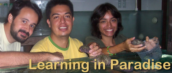 Brazil Program