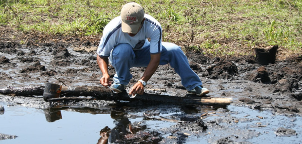 Collecting Samples