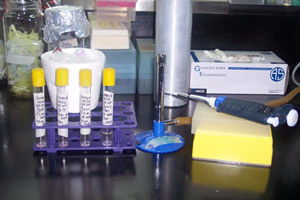 Test tubes, bunson burners and other equipment on a table in a lab