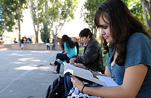 Students studying in the Quad