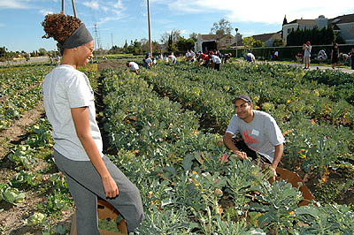 King Day of Service volunteers