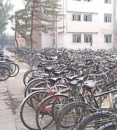 Rows of bicycles in China