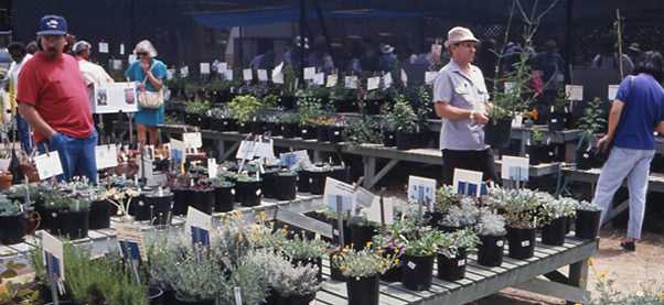 Arboretum guests browse through aisles of plants.