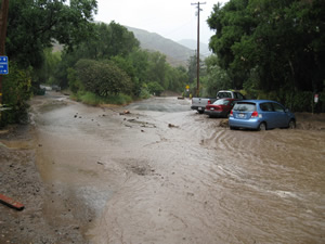 Water floods an outdoor parking area at the sanctuary.