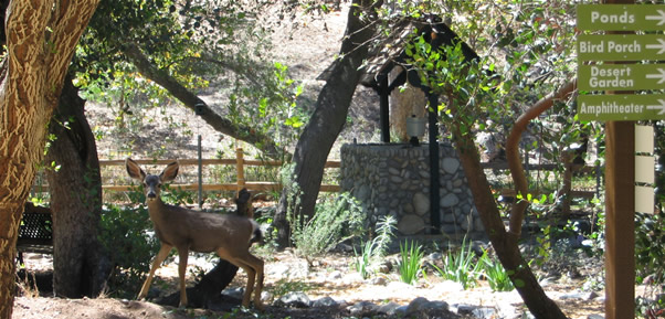 Tucker Wildlife Drought