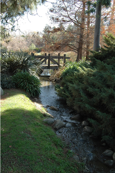 Fullerton Arboretum