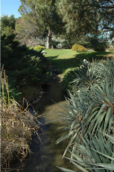 Arboretum