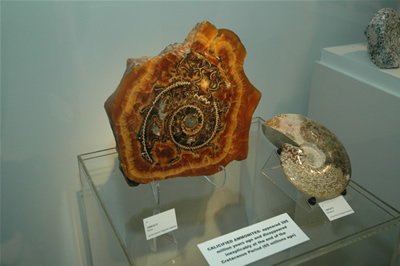 Geo Garden Exhibit