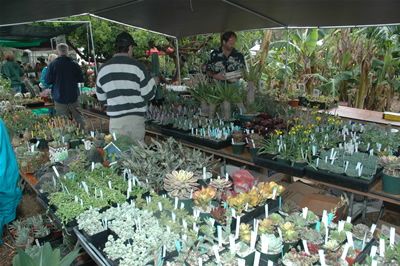 Green Scene