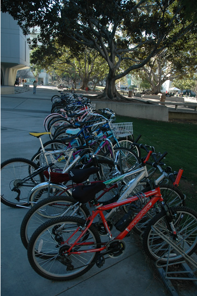 Spring Semester 2007