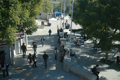 Spring Semester 2007